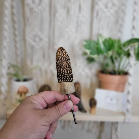 Mixed set of Carved Morel Merchrooms Variety Pack Plant Stake Decor Mushroom - Picture 5 of 11